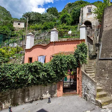 Carol Bed and Breakfast