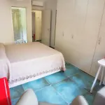 Carol 세타라