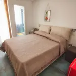 Carol 4* 세타라
